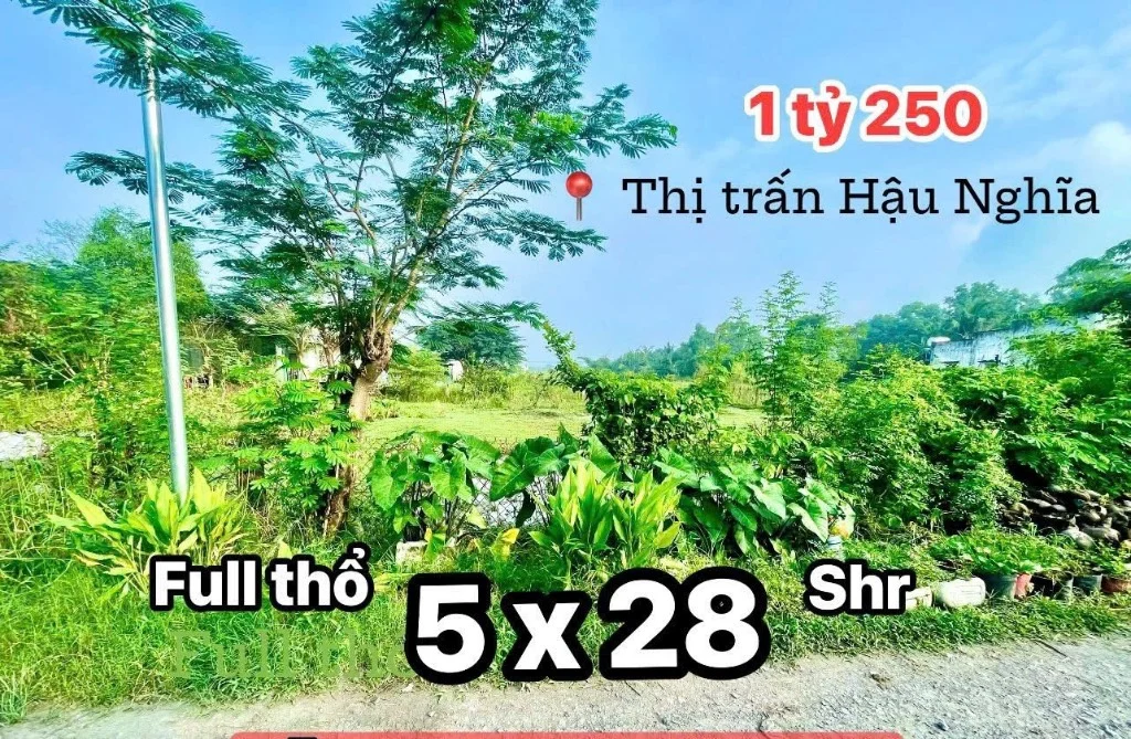 okevipp.com