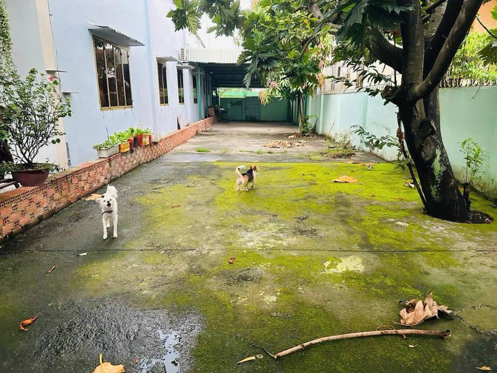 Bán đất Hoatdongokvip ưu đãi hấp dẫn Ba Sa, Phước Hiệp, Củ Chi, 6x29m, vị trí tiềm năng, giá tốt hiếm gặp