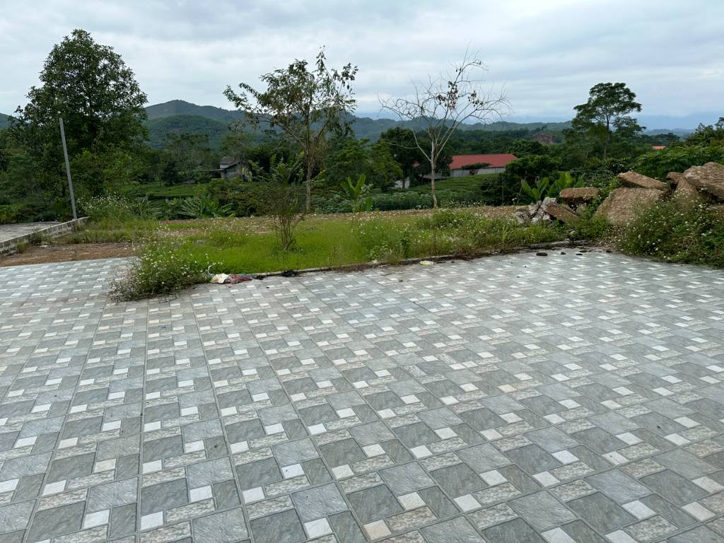 okevipp.com