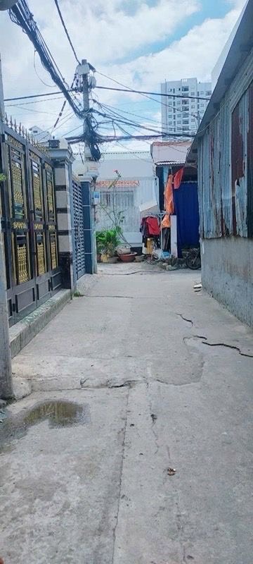 okevipp.com