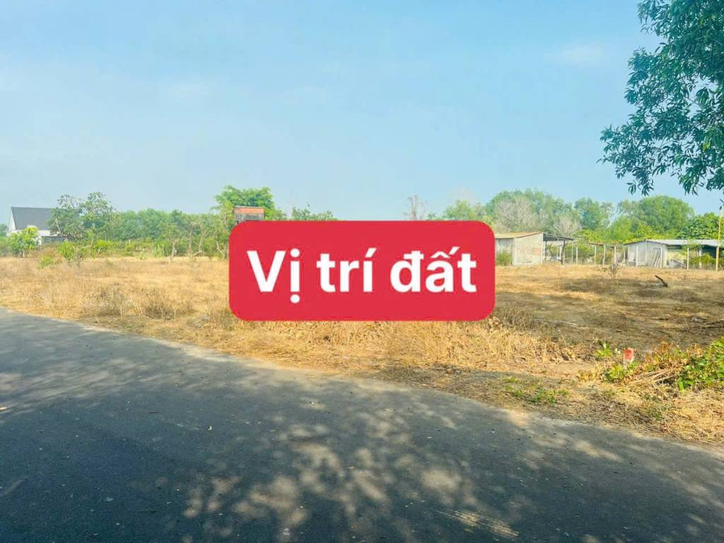 okevipp.com
