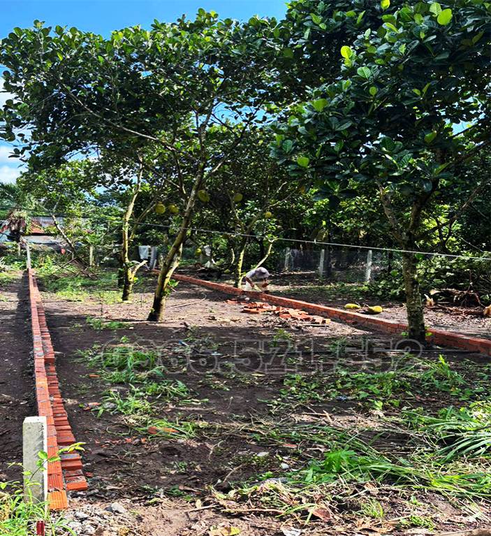 Bán đất Hoatdongokvip ưu đãi hấp dẫn ngay dốc Đồn Hàm Nghi, Phường Bảo Vinh, Đồng Nai, 120m² chỉ 7,5 triệu/m²
