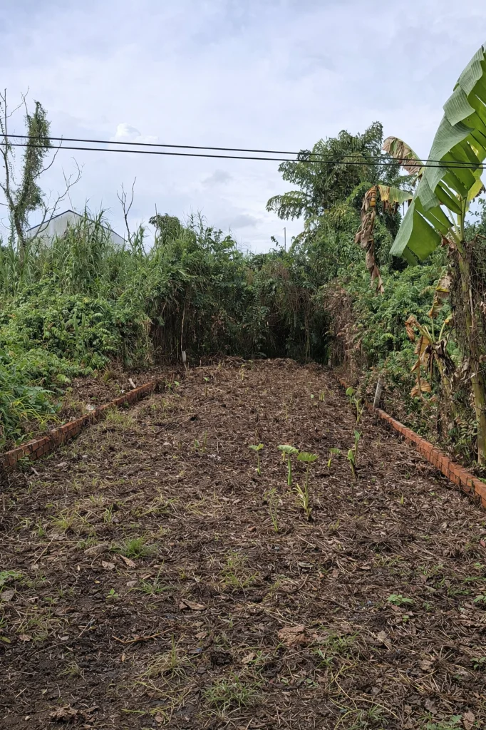 okevipp.com