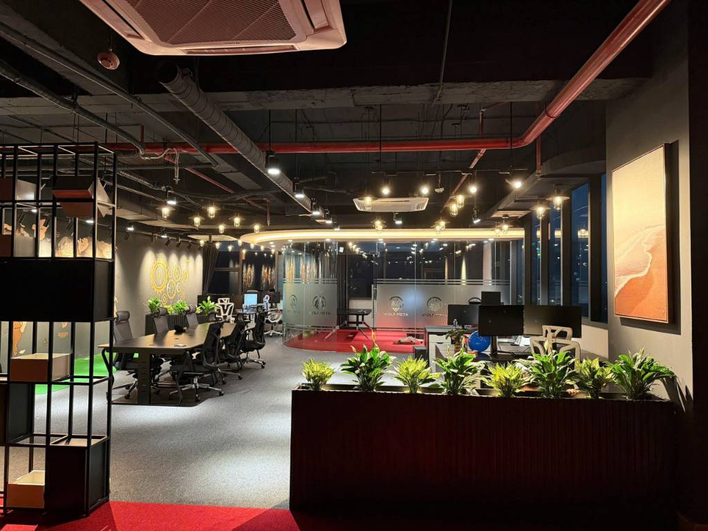 okevipp.com