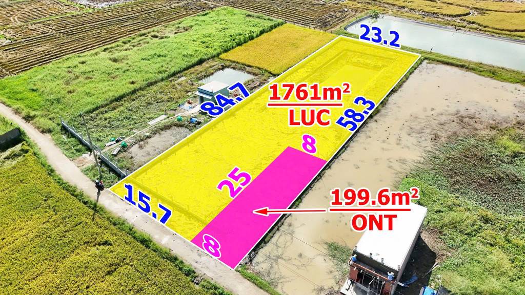 Bán lô đất Xã Nhựt Tảo Tỉnh Tây Ninh, đất lúa 1960m2, có 8x25 thổ, mt đường 3m