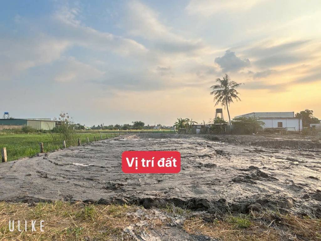 okevipp.com