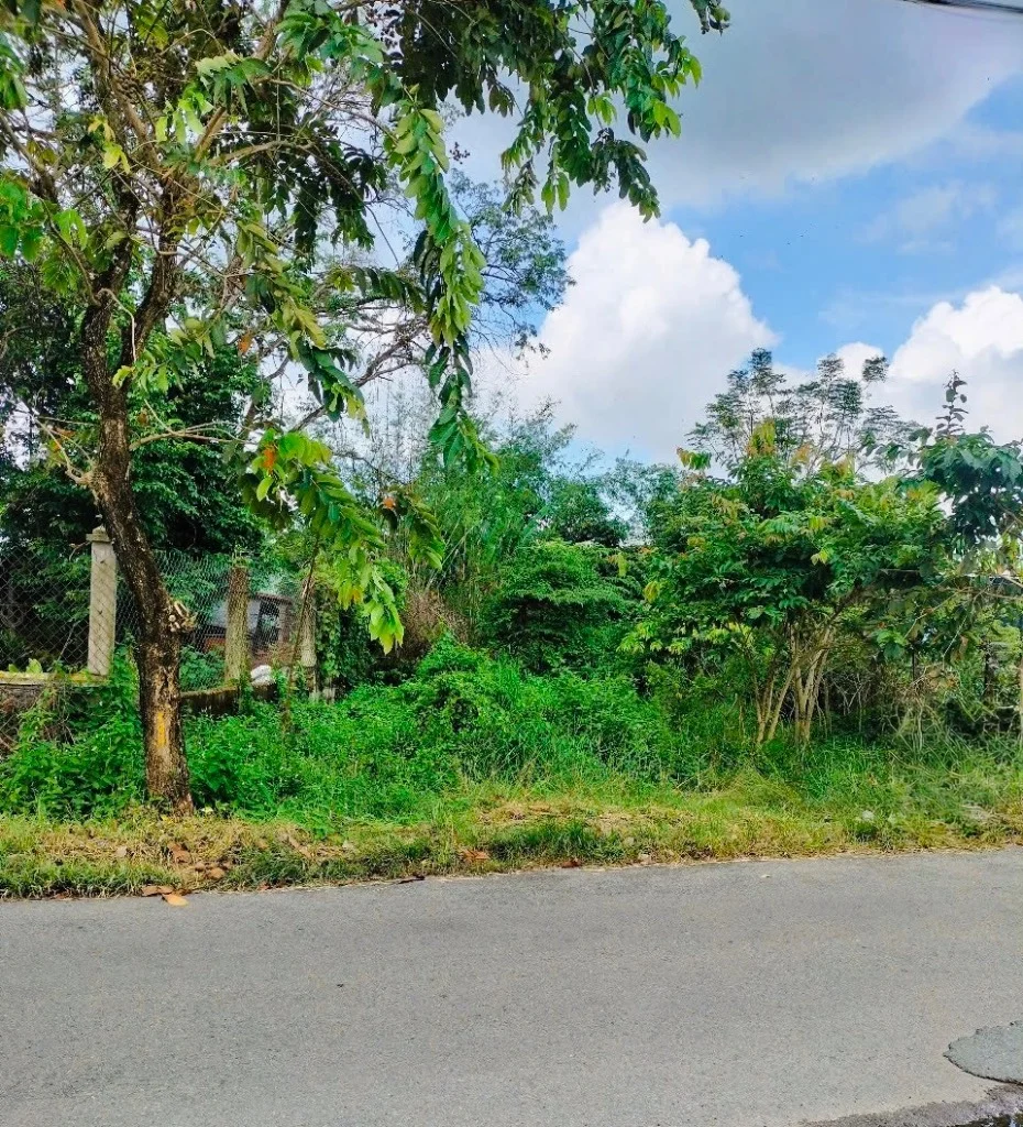 Cần bán lô đất thổ vườn Thái Mỹ, 482m2, cách đường Cây Trôm, Mỹ Khánh 150m