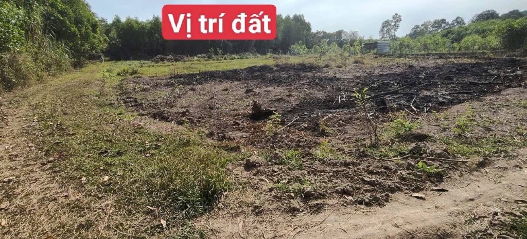 okevipp.com