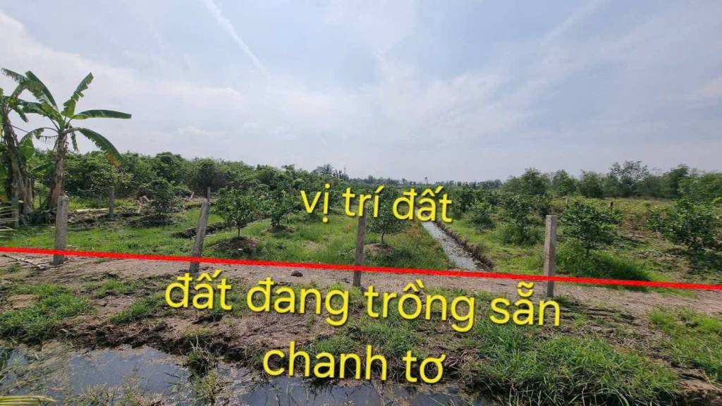 okevipp.com