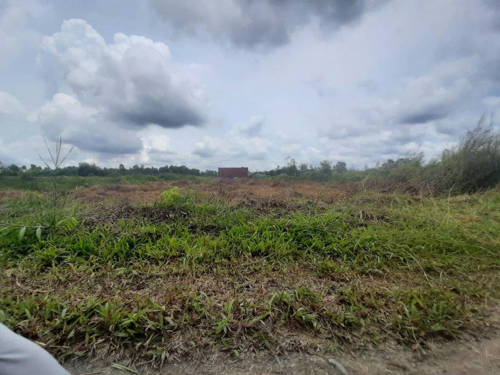 okevipp.com