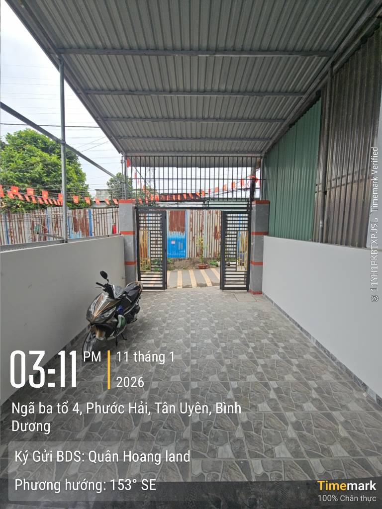 okevipp.com