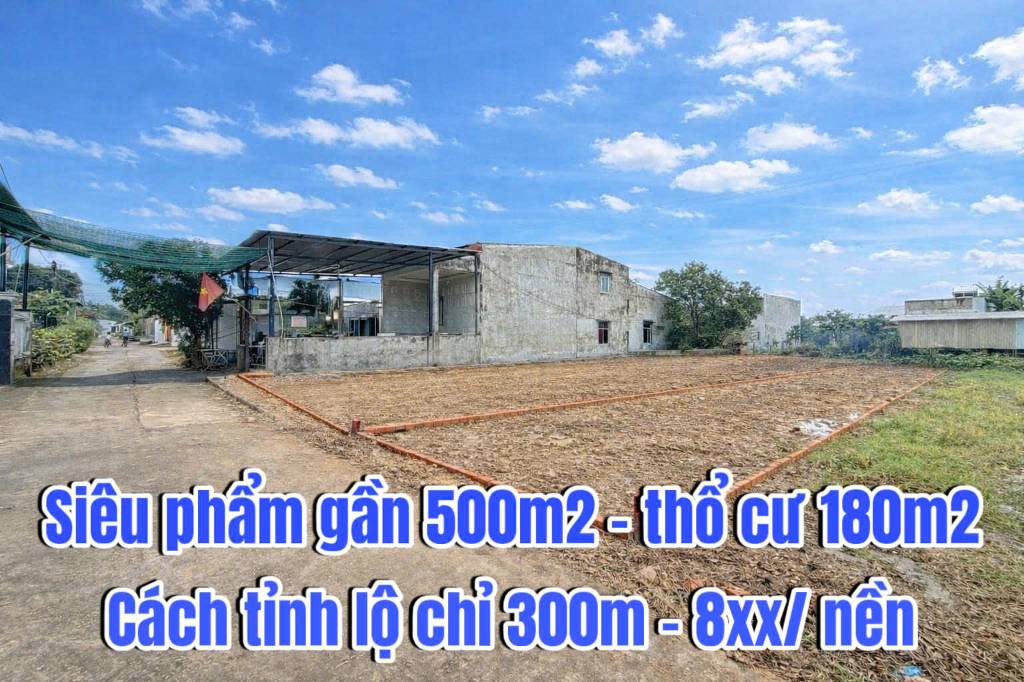 okevipp.com