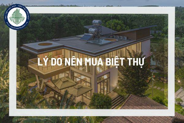 okevipp.com