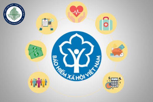 okevipp.com