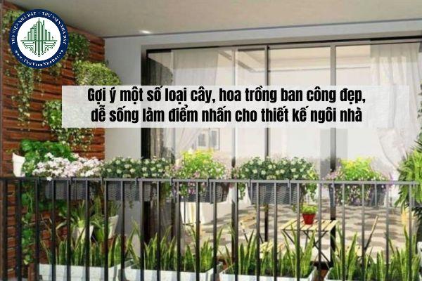 okevipp.com
