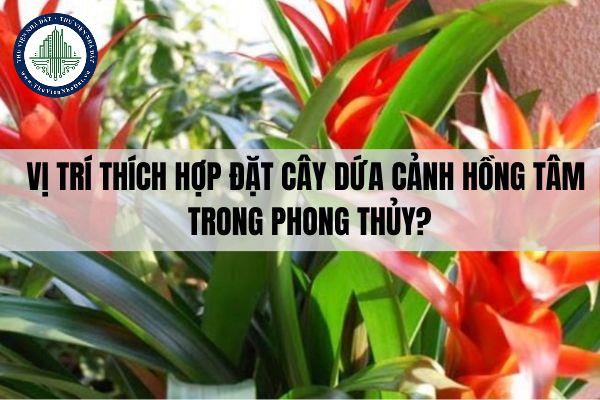 okevipp.com