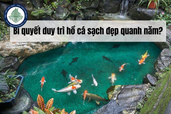 okevipp.com