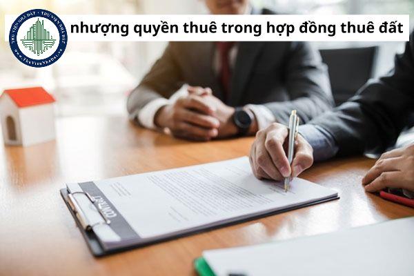 okevipp.com
