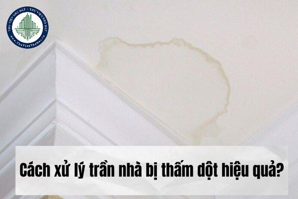 okevipp.com