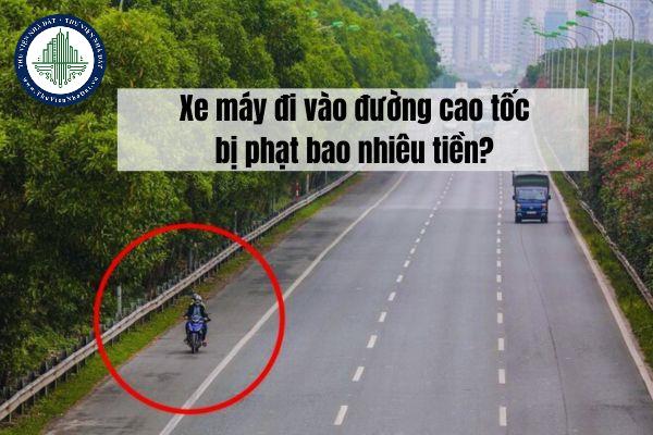okevipp.com