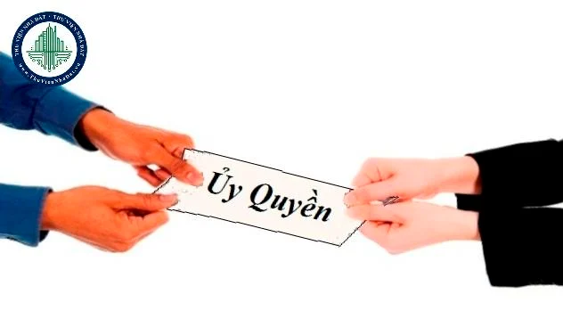 okevipp.com