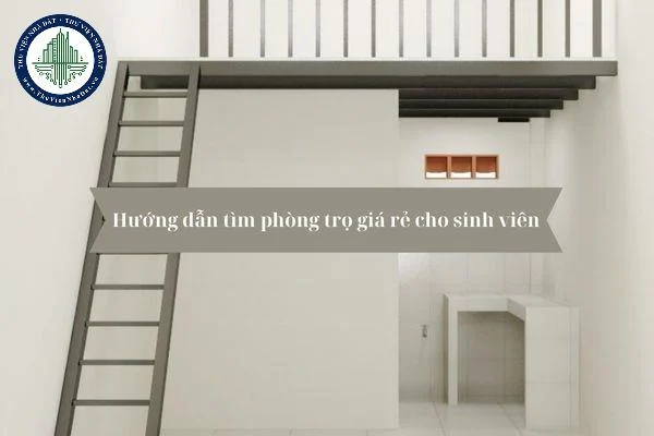 okevipp.com