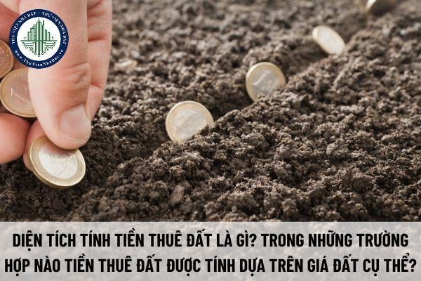 okevipp.com