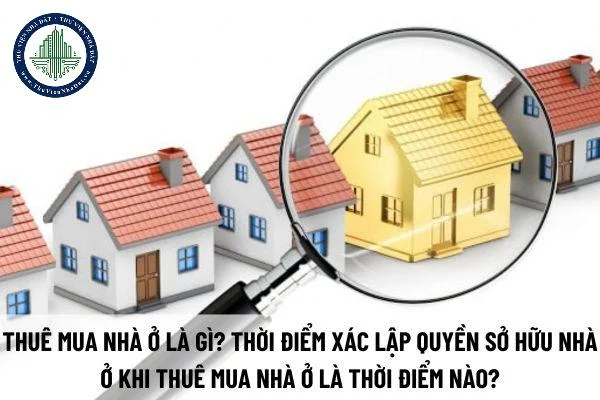 okevipp.com
