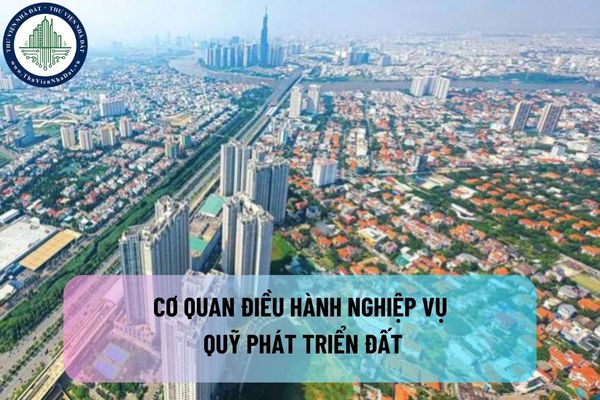 okevipp.com