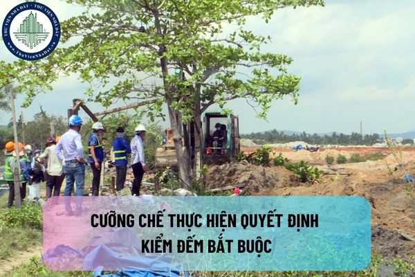 okevipp.com