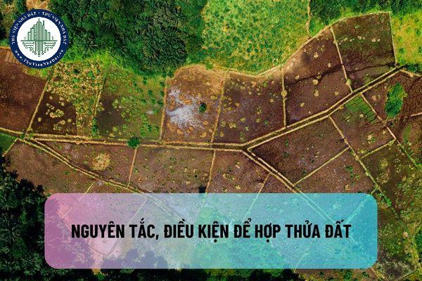 okevipp.com