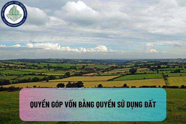 okevipp.com