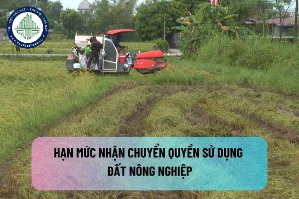 okevipp.com