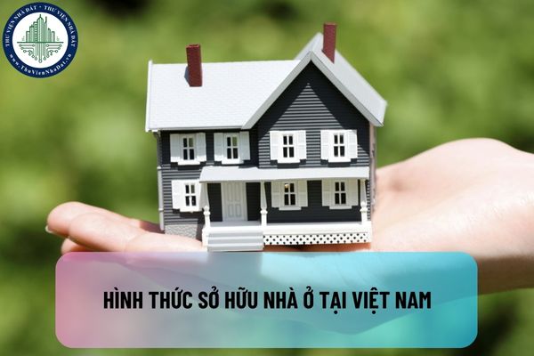 okevipp.com