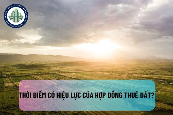 okevipp.com