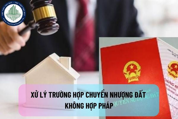 okevipp.com