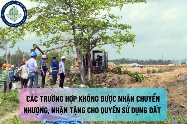 okevipp.com