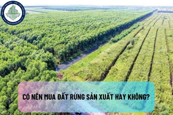 okevipp.com