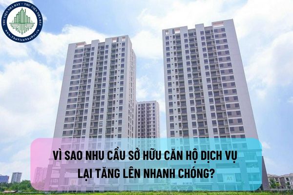 okevipp.com