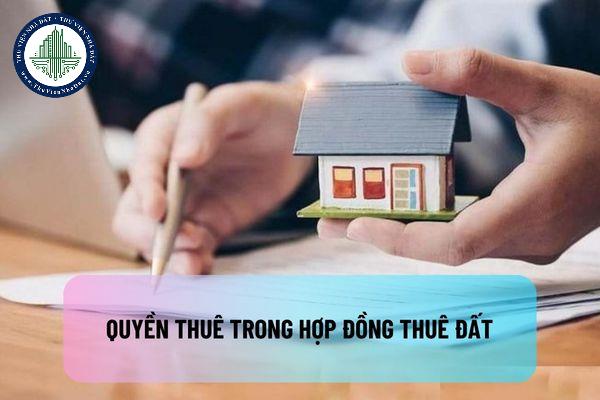 okevipp.com