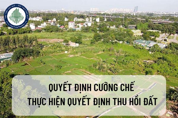okevipp.com