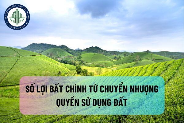 okevipp.com