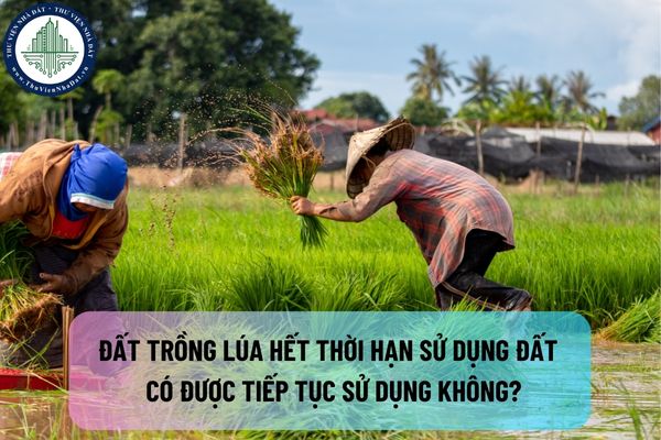 okevipp.com