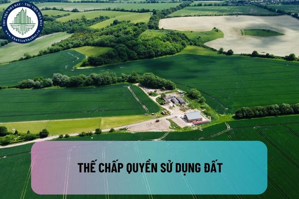 okevipp.com