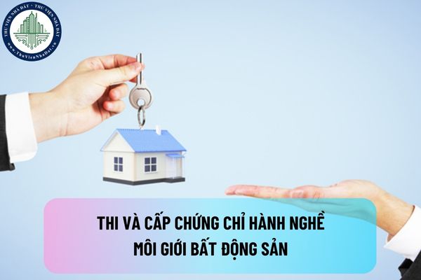 okevipp.com