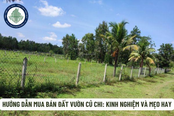 okevipp.com