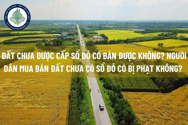 okevipp.com