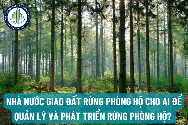 okevipp.com