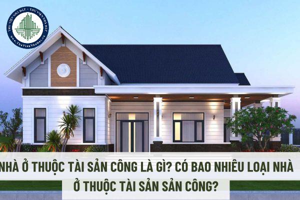 okevipp.com