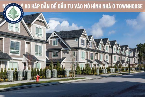 okevipp.com